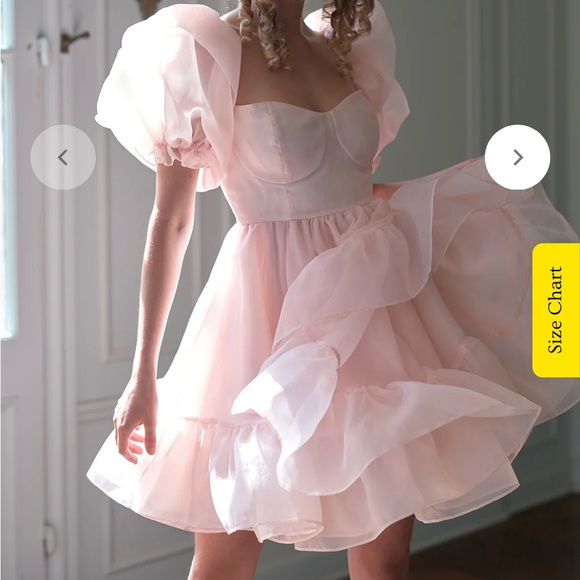 Selkie Bebe bloom pink medium dress NWT - Picture 2 of 2